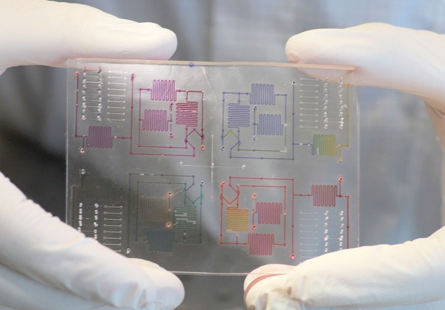 ein Labormitarbeiter hält einen chemo-basierten Mikroprozessor in den Händen